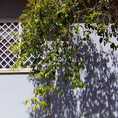 La Sirenetta فندق مبيت وإفطار